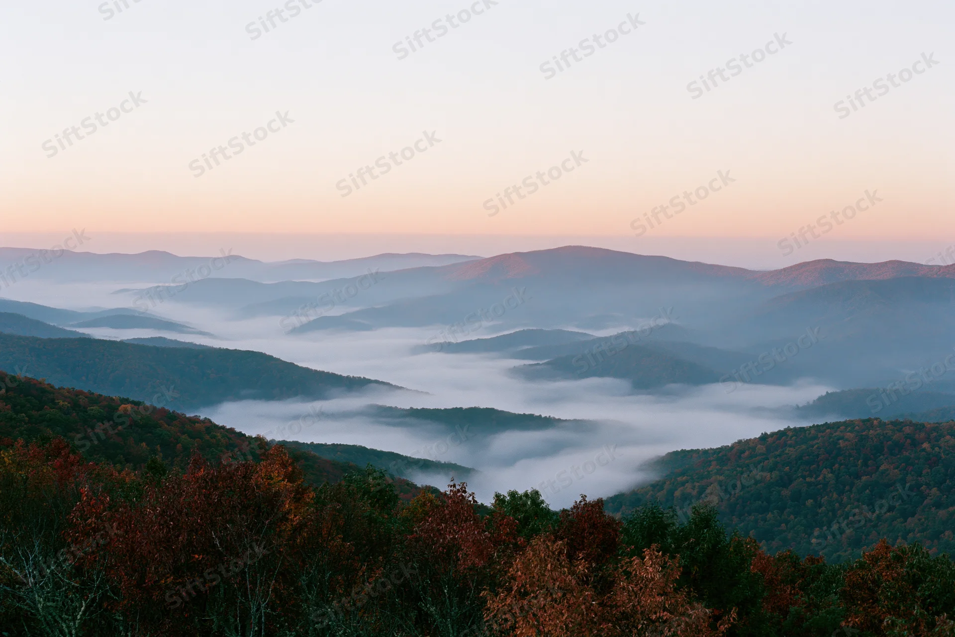 Mountain valley filled with low-lying fog at sunrise, surrounded by autumn forest