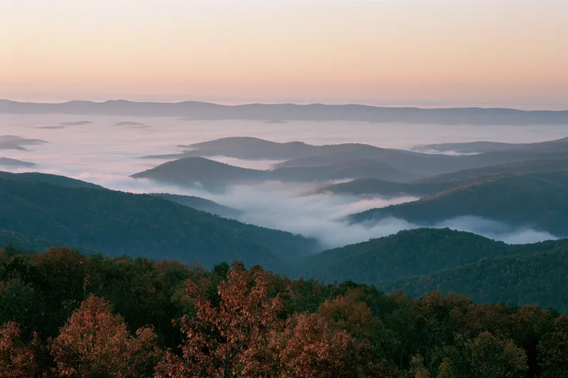 Mountain valley covered in low-lying fog at sunrise with autumn trees in foreground