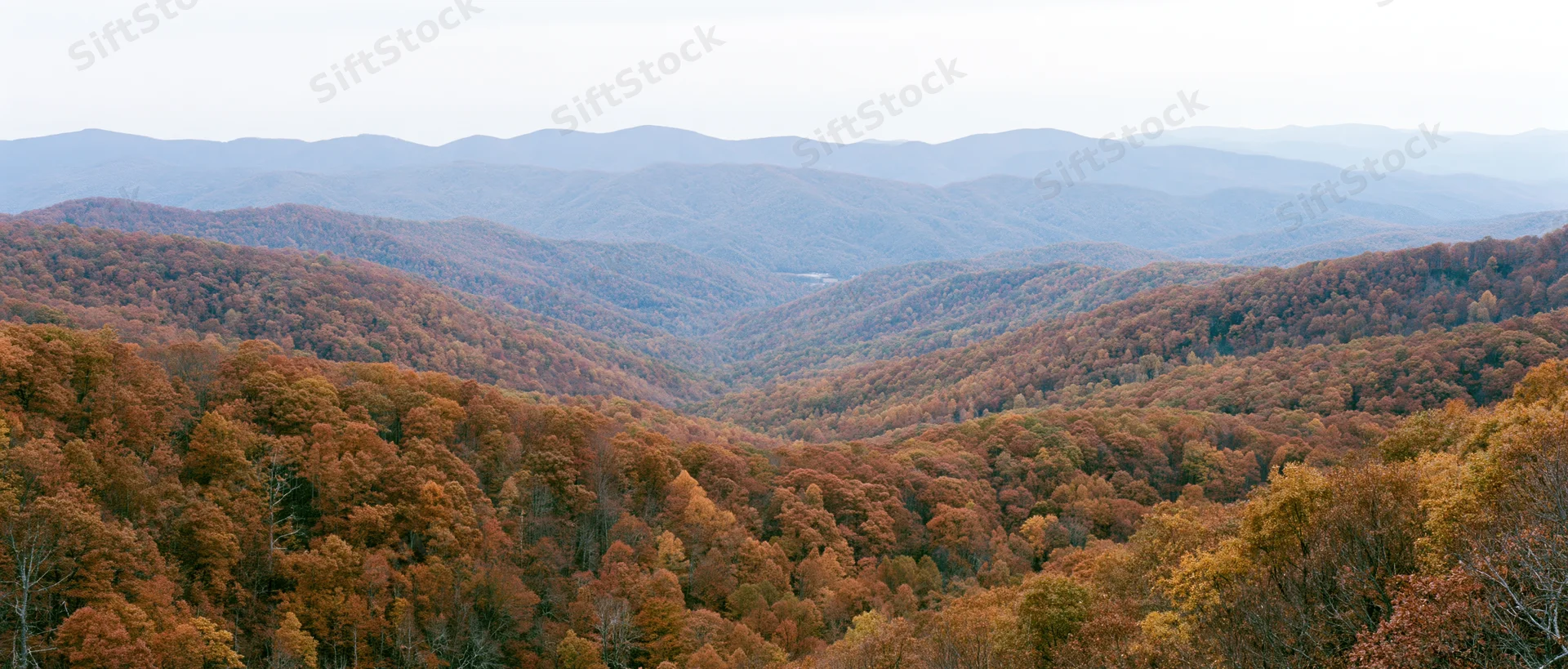 Panoramic view of autumn forested mountains from an elevated ridge