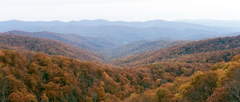 Panoramic view of autumn forested mountains from an elevated ridge