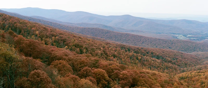 Autumn forest covering rolling mountains viewed from an elevated ridge