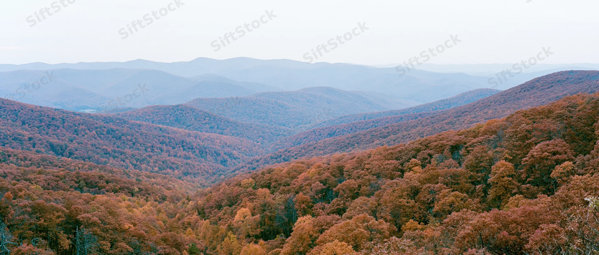 Autumn forest covering rolling mountains viewed from an elevated ridge