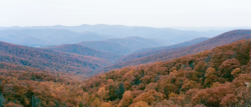 Autumn forest covering rolling mountains viewed from an elevated ridge