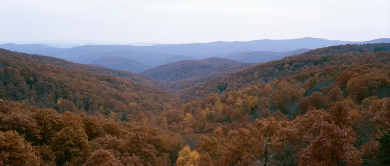 Autumn forest covering rolling mountains viewed from an elevated ridge