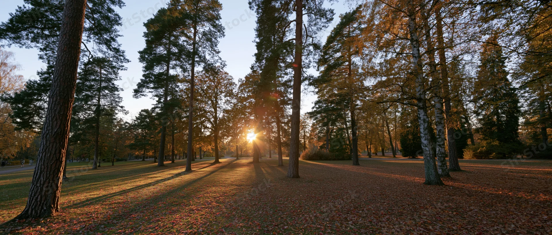 Autumn park landscape with sunlight filtering through trees at golden hour