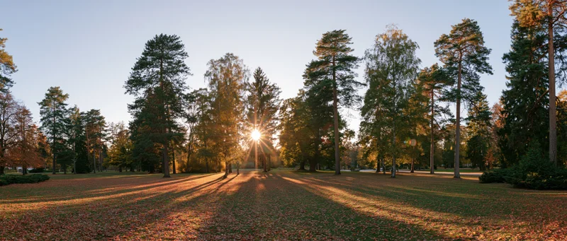 Autumn park landscape with sunlight filtering through trees at golden hour