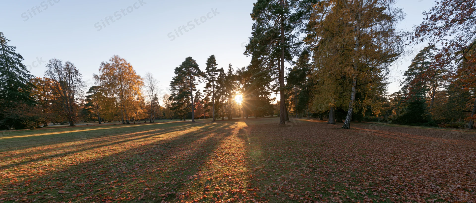 Autumn park landscape with sunlight filtering through trees at golden hour