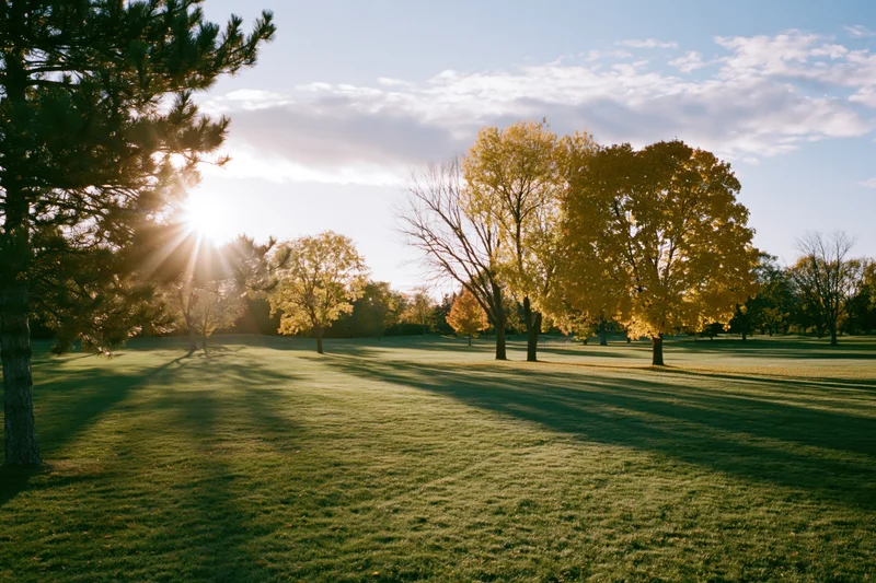 Autumn park landscape with yellow and orange foliage under morning sunlight