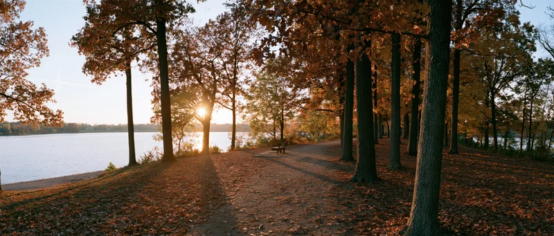 Autumn park path lined with tall trees in peak fall color beside a lake at sunset