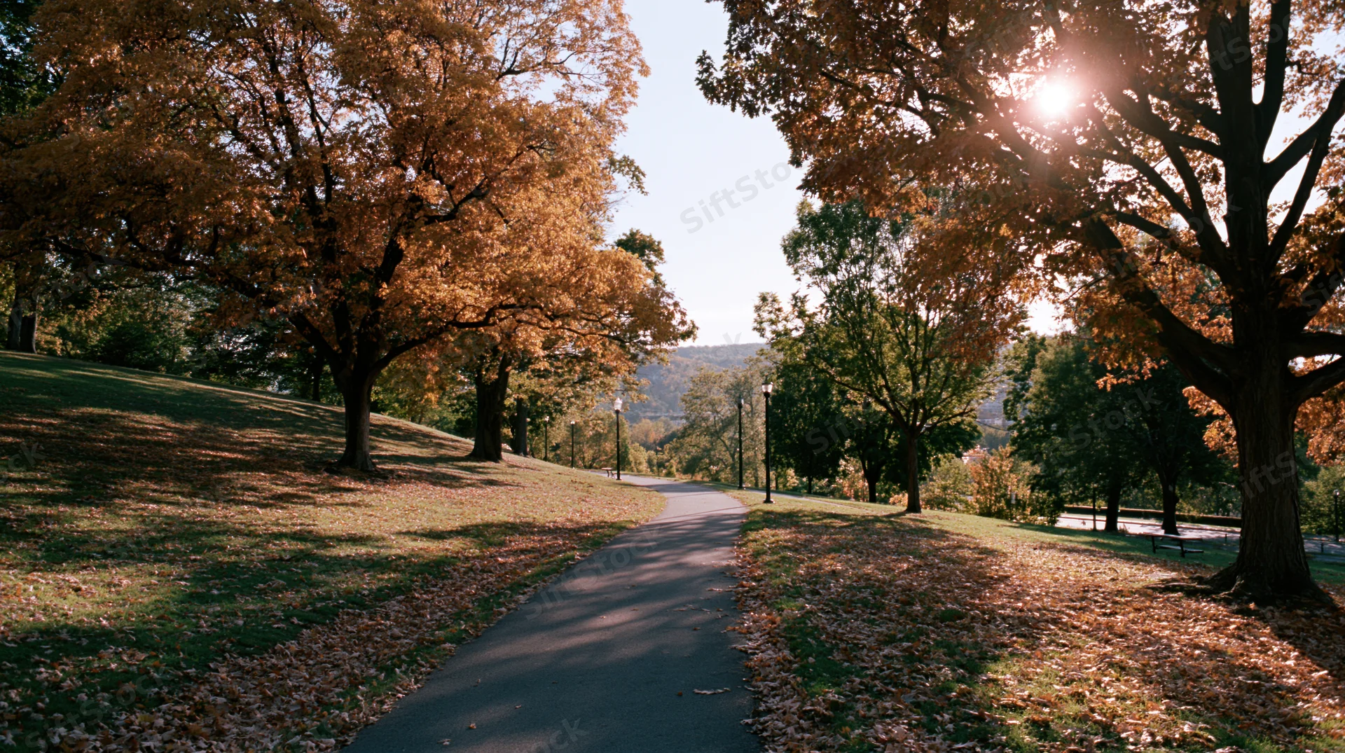 Winding path through autumn park lined with golden trees and fallen leaves