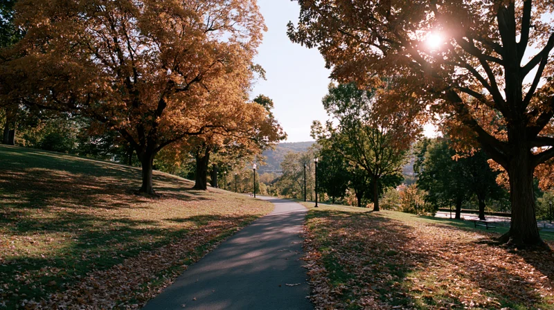 Winding path through autumn park lined with golden trees and fallen leaves