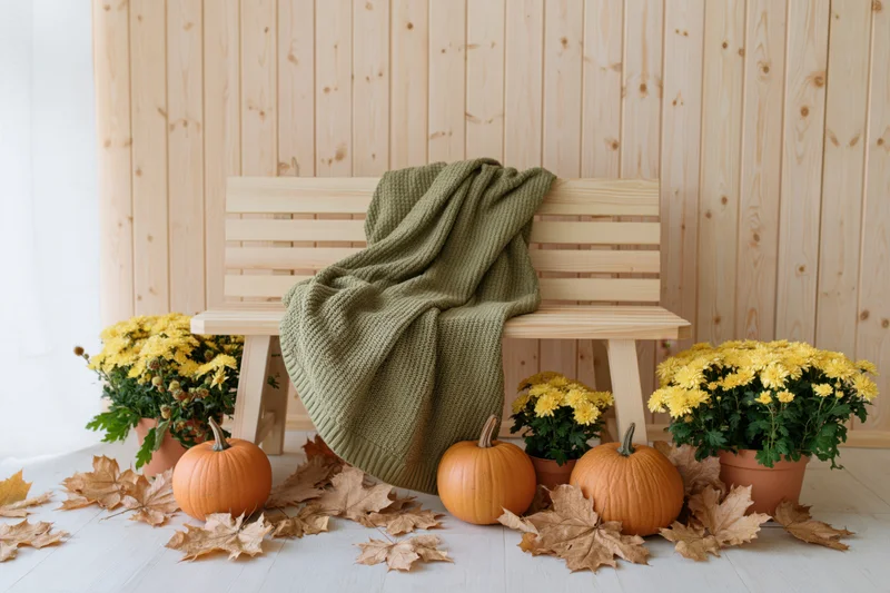 Light wood slatted bench draped with green knitted blanket surrounded by pumpkins, potted chrysanthemums and fallen leaves on white floor