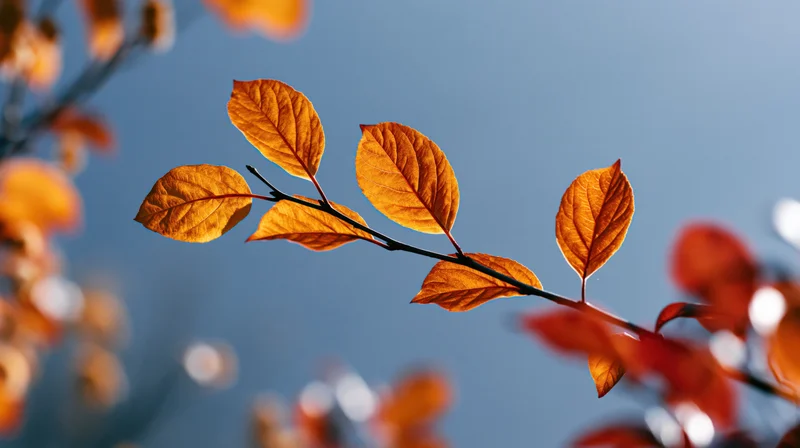 Autumn branch with golden-orange translucent leaves against blue sky