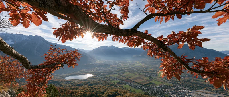 Autumn tree branches with orange-red leaves framing a mountain valley view