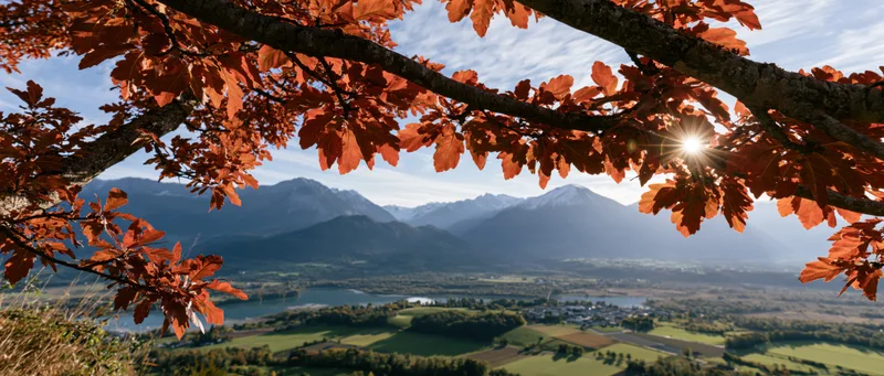 Autumn tree branches with orange-red leaves framing a mountain valley view