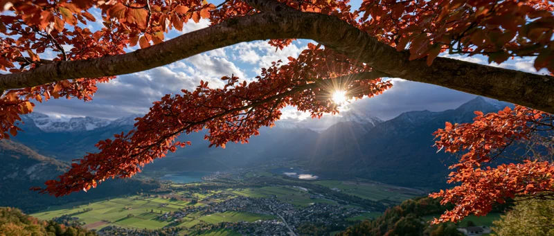 Autumn tree branches with orange-red leaves framing a mountain valley view