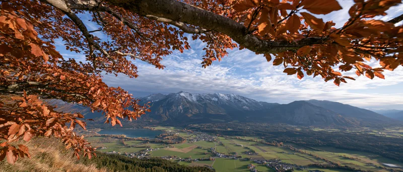 Autumn tree branches with orange-red leaves framing a mountain valley view