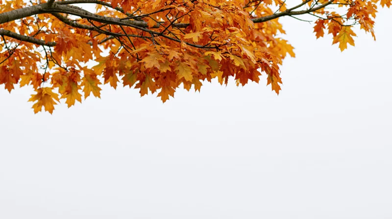 Maple tree branches with golden-orange autumn leaves against a pale sky, top portion of the frame, copyspace below