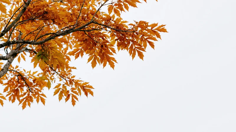 Autumn tree branches with golden-orange leaves spreading across the sky, copyspace on the right