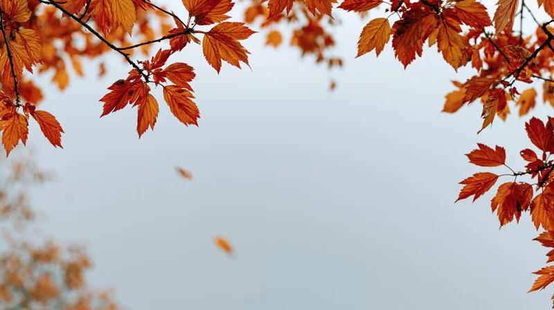 Autumn tree branches with orange red and yellow leaves framing a soft sky with copyspace