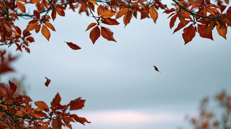 Autumn tree branches with red and orange leaves framing a cloudy sky, some leaves falling in the wind