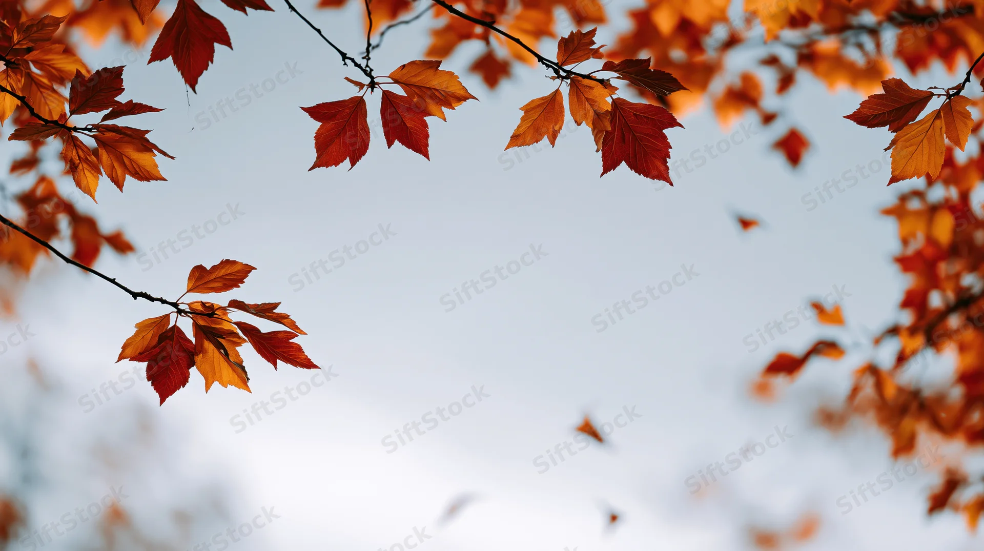 Autumn tree branches with orange red and yellow leaves framing a soft sky background