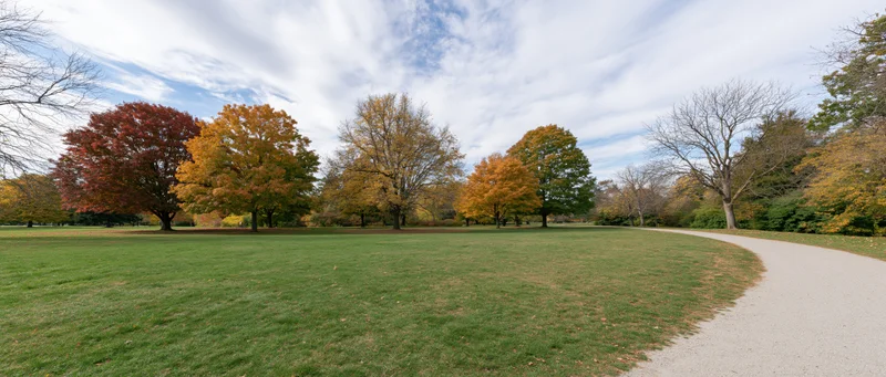 Autumn trees with colorful foliage lining a gravel path in a public park