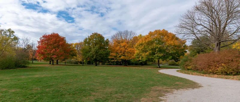 Autumn trees with mixed red orange and yellow foliage lining a gravel path in a public park