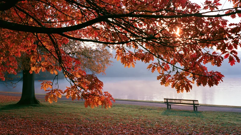 Autumn tree with red and orange leaves overhanging a park bench by a lake at sunset