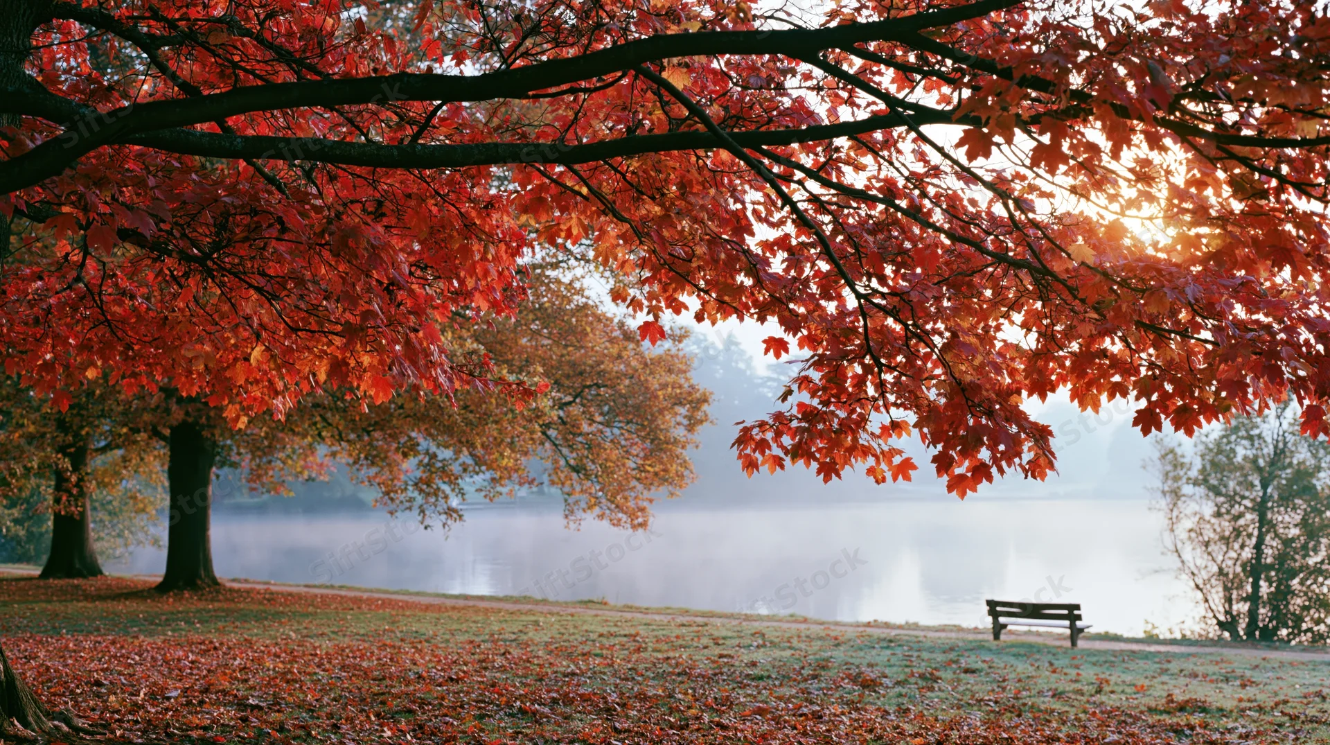 Autumn trees with red and orange foliage framing a misty lake in a park with a bench and fallen leaves on the ground