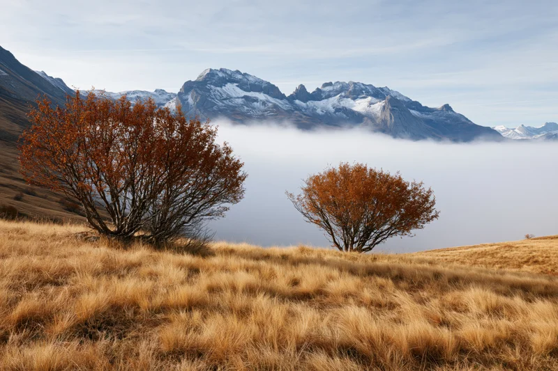 Autumn trees with orange foliage on a grassy slope above fog-covered valley with snow-capped mountains in background