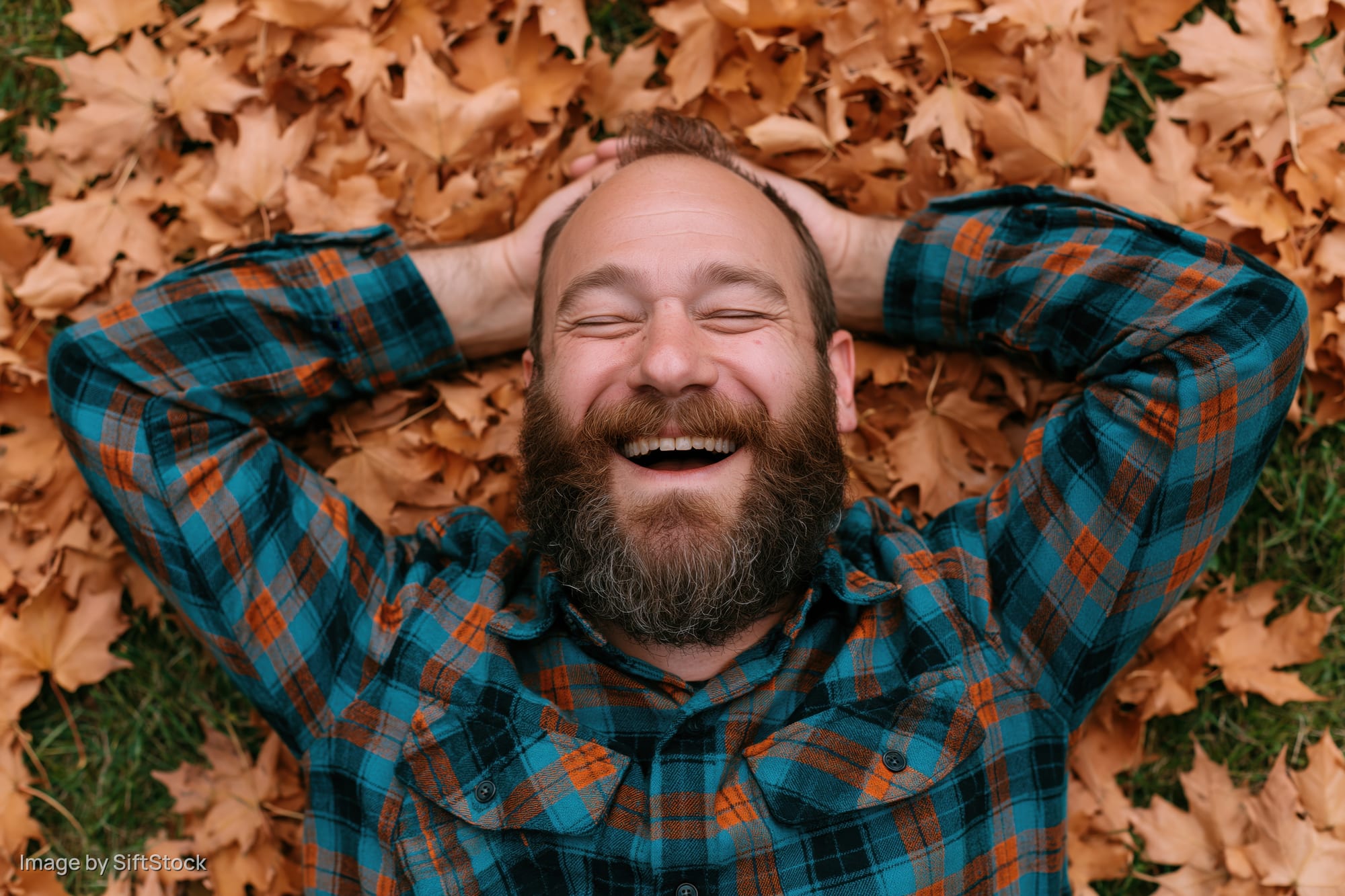 Bearded man laughing with hands behind head lying on autumn leaves in a grassy outdoor area