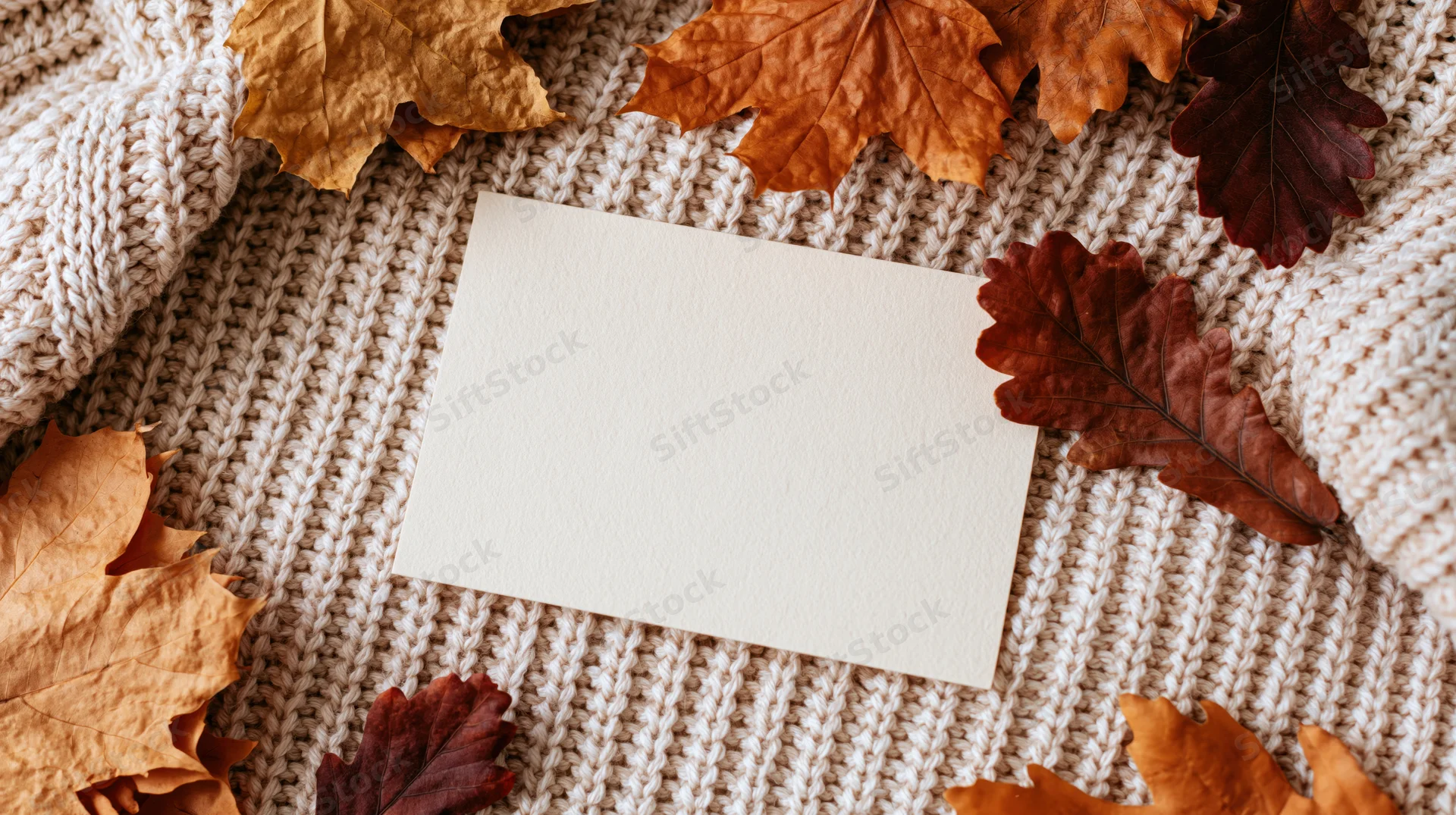 Blank cream card on a cream ribbed knit sweater surrounded by autumn leaves