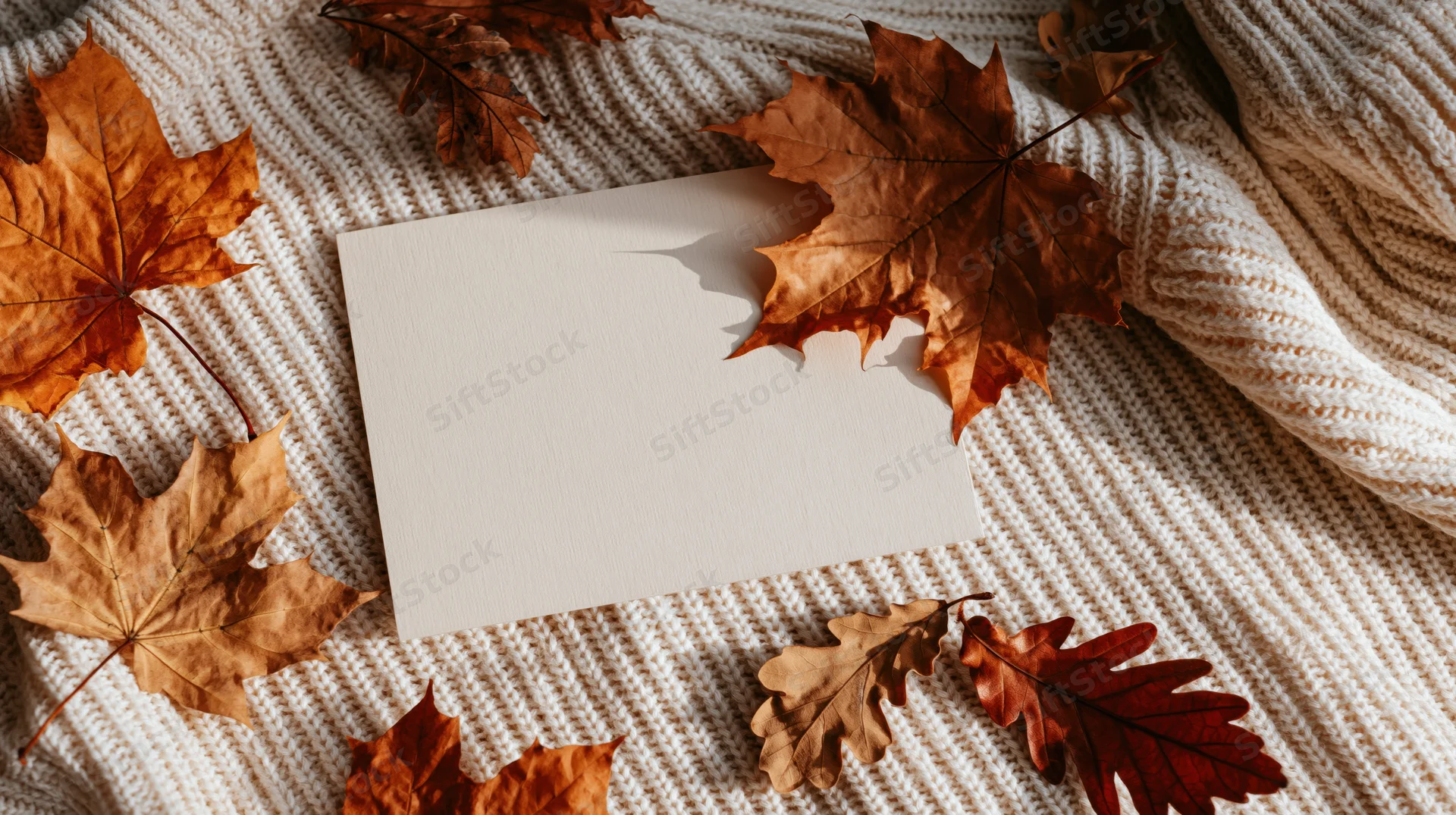 Blank cream card on a ribbed knit sweater surrounded by dried autumn leaves
