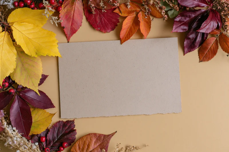 Blank kraft paper card centered on warm beige surface framed by autumn leaves and berries