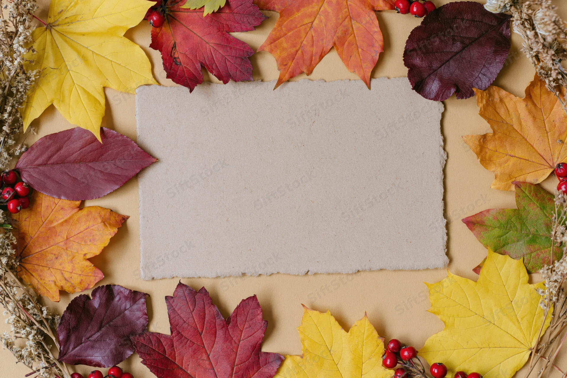 Blank kraft paper card surrounded by autumn leaves and berries on beige surface