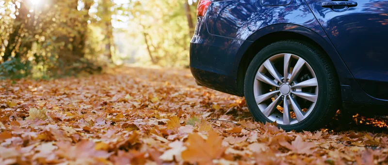 Blue car parked on a forest path covered in fallen autumn leaves