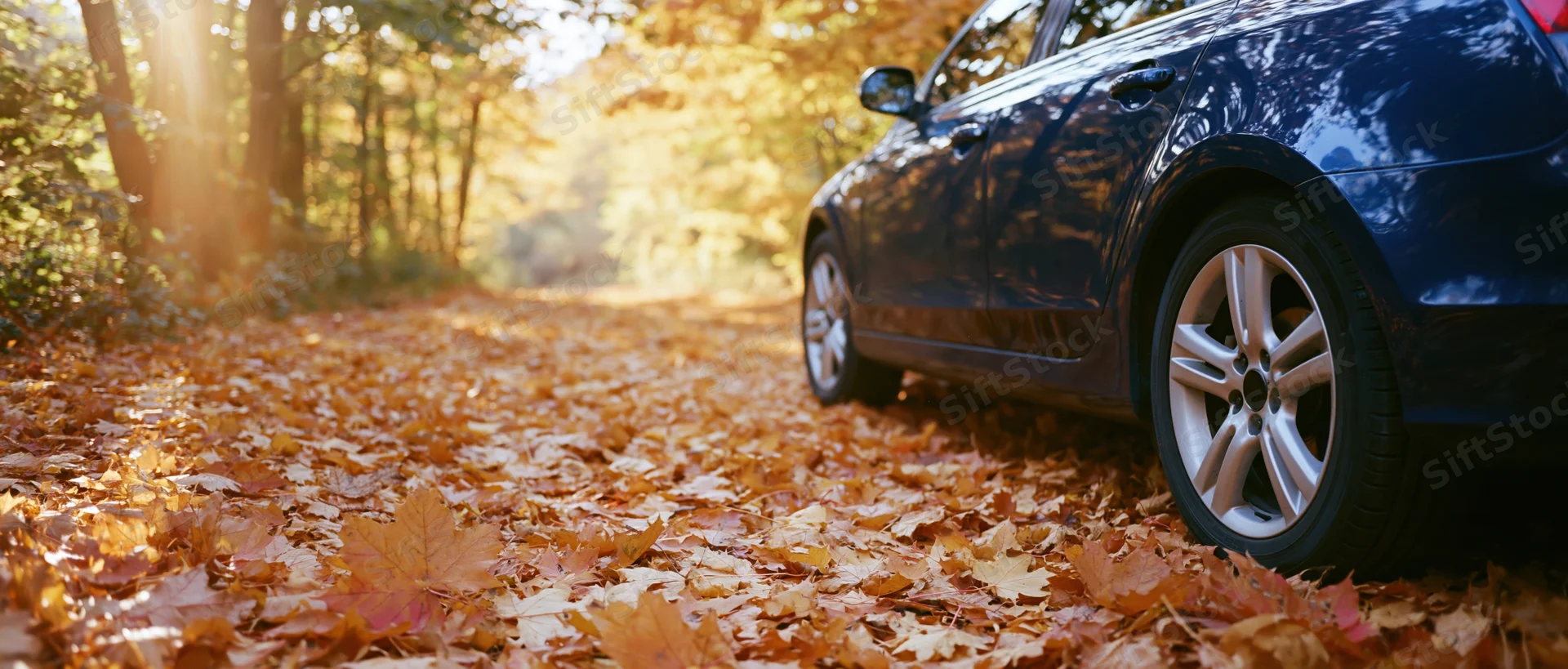 Blue car parked on a forest path covered in fallen autumn leaves