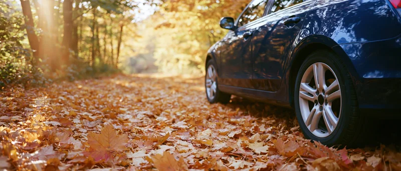 Blue car parked on a forest path covered in fallen autumn leaves