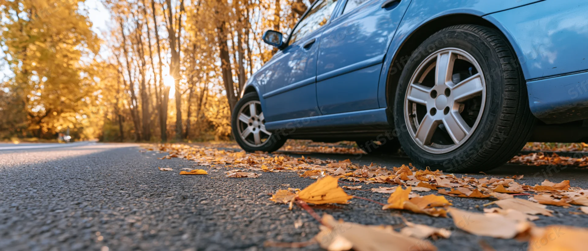 Blue sedan parked on autumn road with fallen leaves scattered on pavement, low-angle view among golden trees