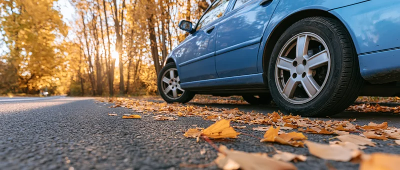 Blue sedan parked on autumn road with fallen leaves scattered on pavement, low-angle view among golden trees