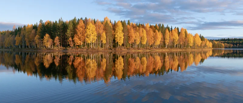 Calm lake reflecting autumn birch and pine trees along the shoreline in Finland