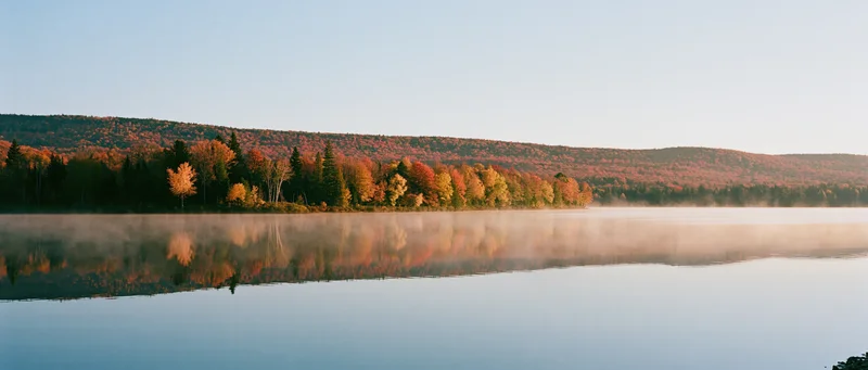 Calm lake reflecting autumn forest at dawn with morning mist over water