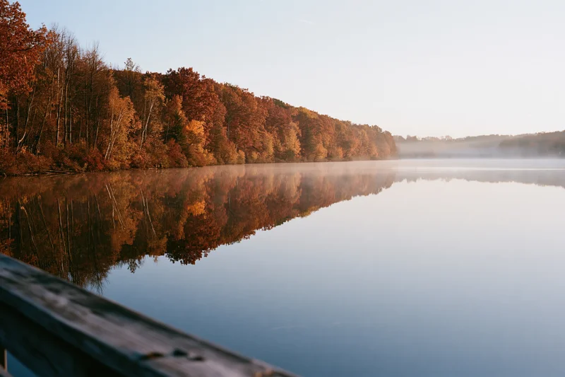 Calm lake reflecting autumn forest trees at sunrise