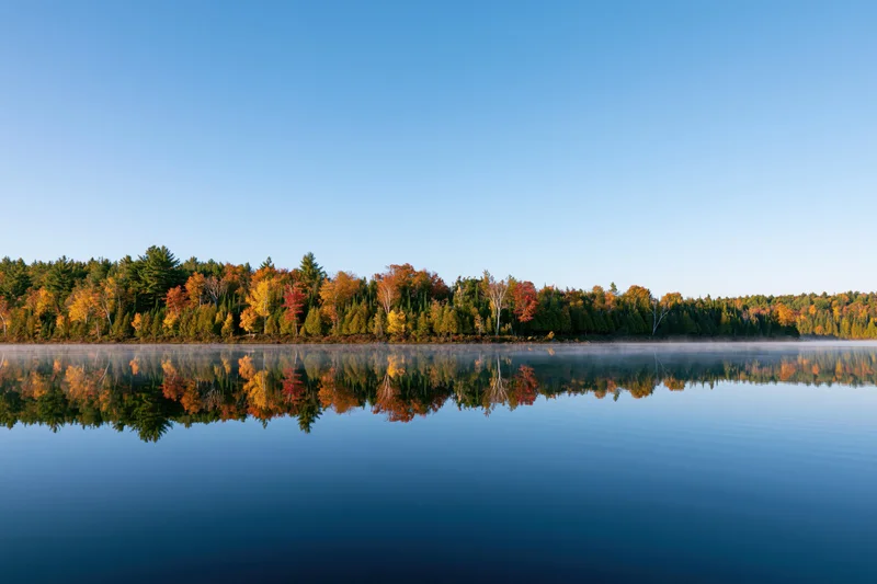 Calm lake reflecting autumn forest at dawn
