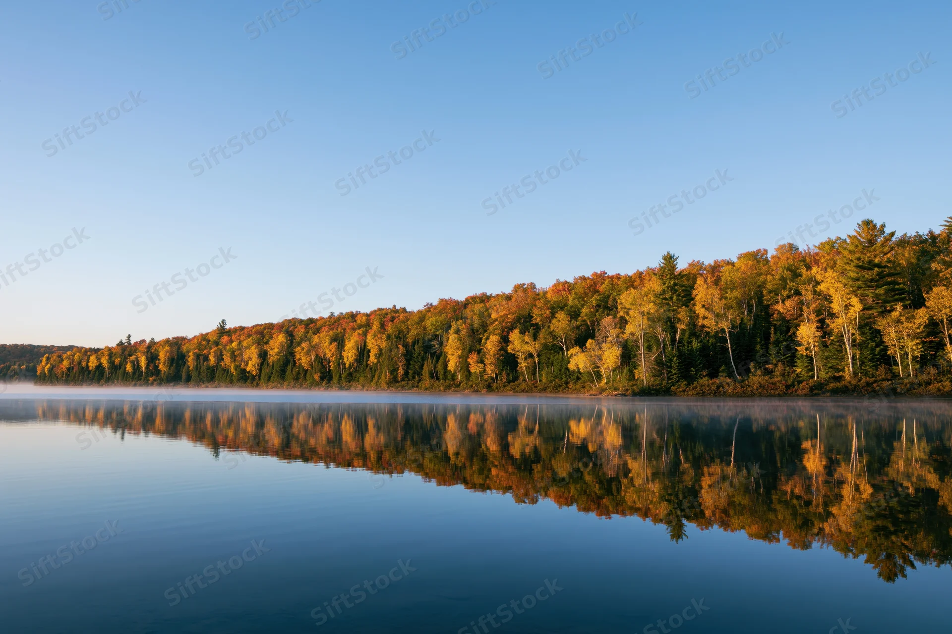 Calm lake reflecting autumn forest at dawn