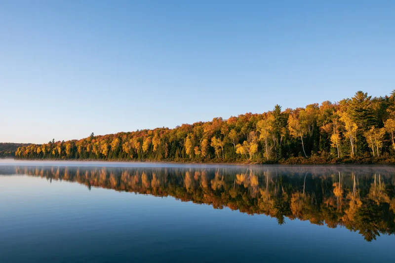 Calm lake reflecting autumn forest at dawn