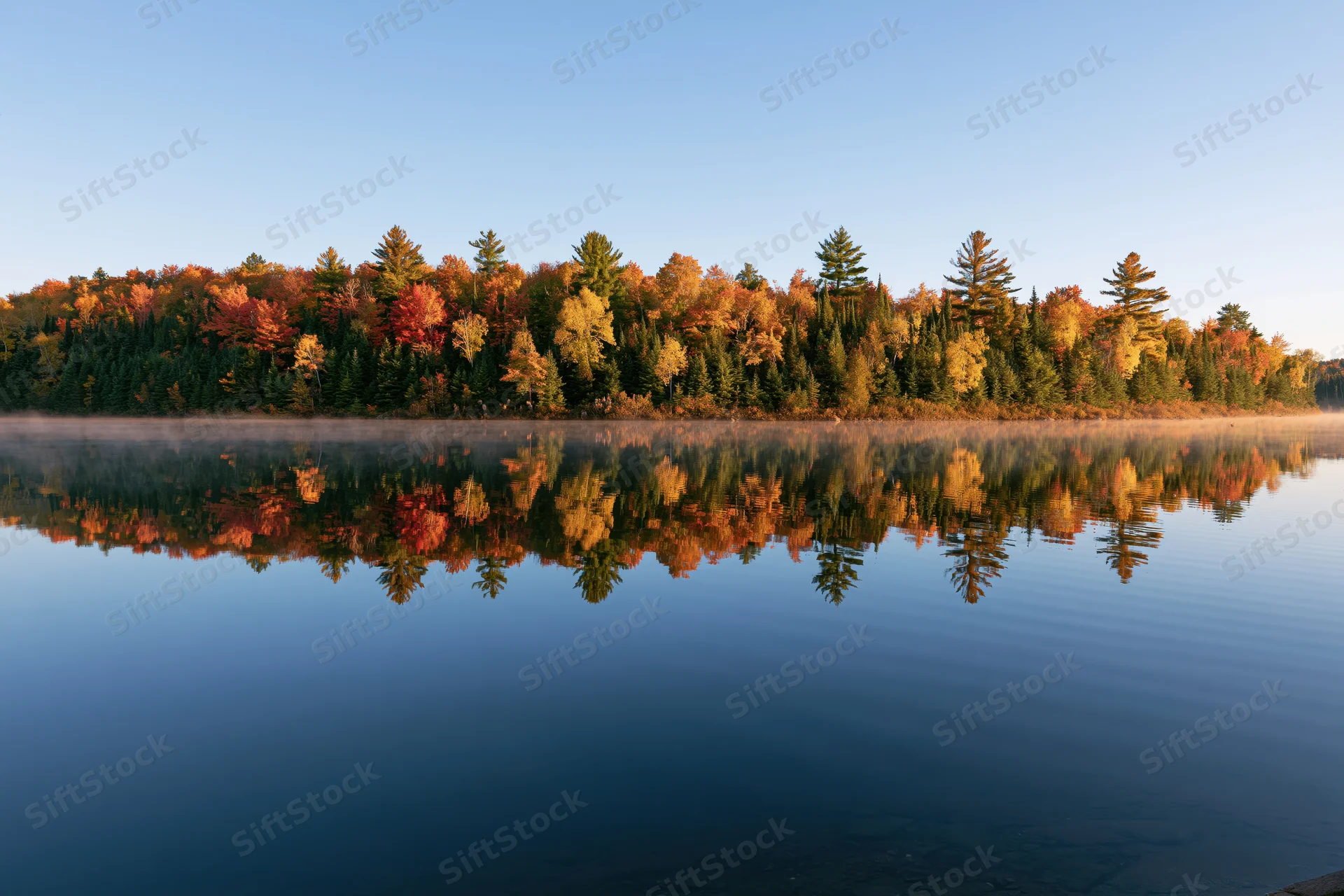 Calm lake reflecting dense autumn forest at dawn