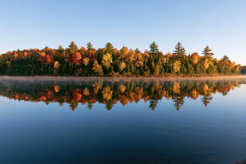 Calm lake reflecting dense autumn forest at dawn