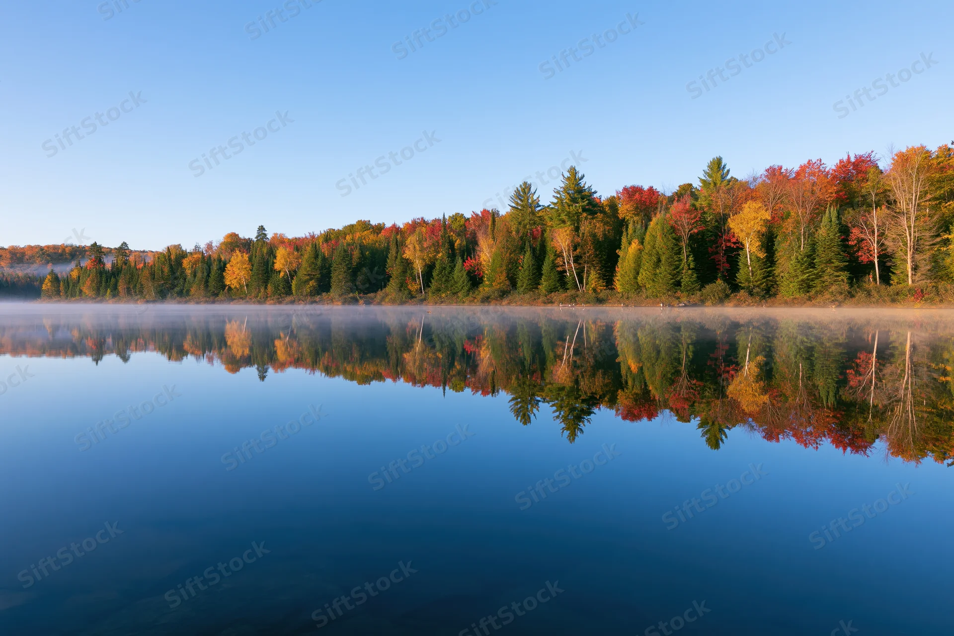 Calm lake reflecting autumn forest at dawn